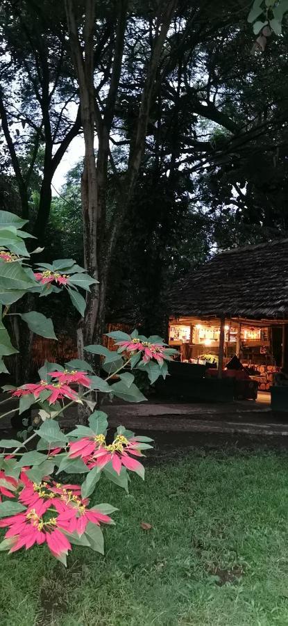 Ibrahim Garden Hostel Arusha Eksteriør billede
