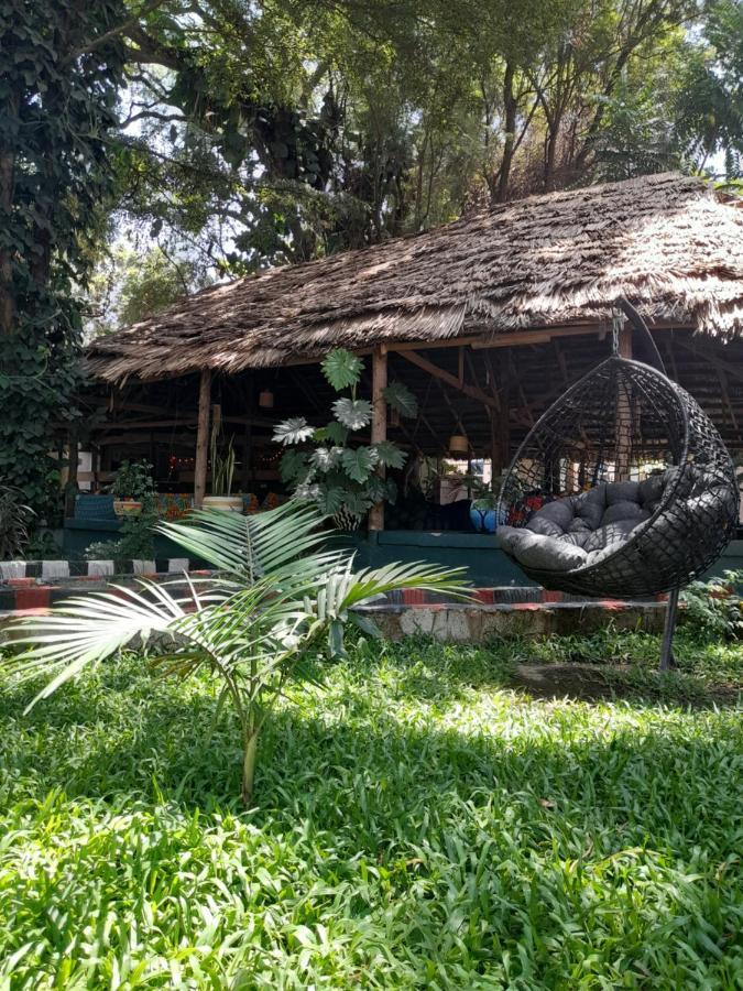Ibrahim Garden Hostel Arusha Eksteriør billede